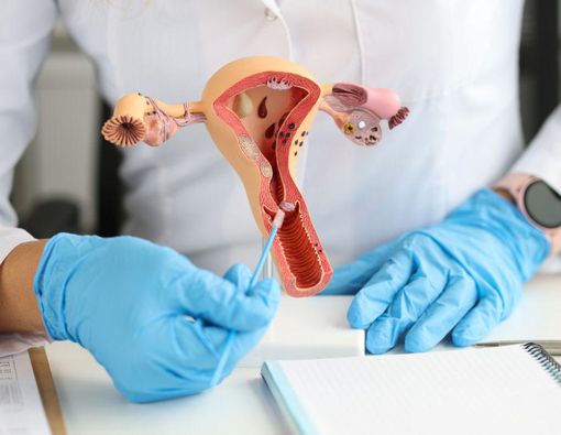 Jinsiy olatni vaginaga kirib boradi